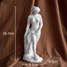 Load image into Gallery viewer, Venus Marbré