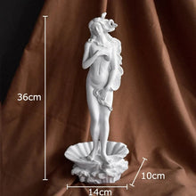 Load image into Gallery viewer, Venus Marbré