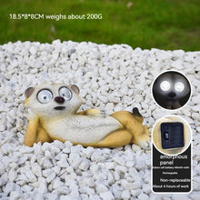 Load image into Gallery viewer, Meerkat Solar Nightlight