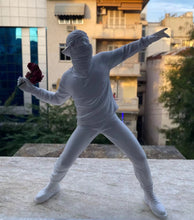 Load image into Gallery viewer, Masked Flower Rioter