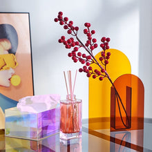 Load image into Gallery viewer, Duo Color Acrylic Vase