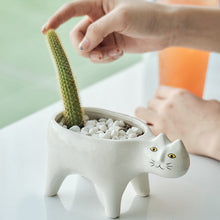 Load image into Gallery viewer, Ceramic Abstract Cat Planter