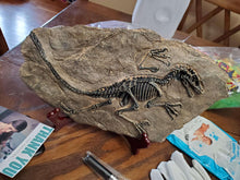 Load image into Gallery viewer, Dinosaur Fossil Decor
