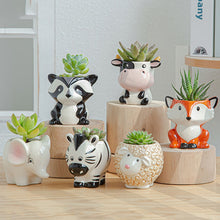 Load image into Gallery viewer, Cartoon Animal Planters