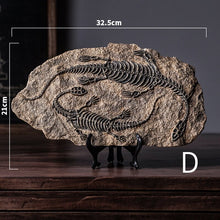 Load image into Gallery viewer, Dinosaur Fossil Decor