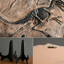 Load image into Gallery viewer, Dinosaur Fossil Decor