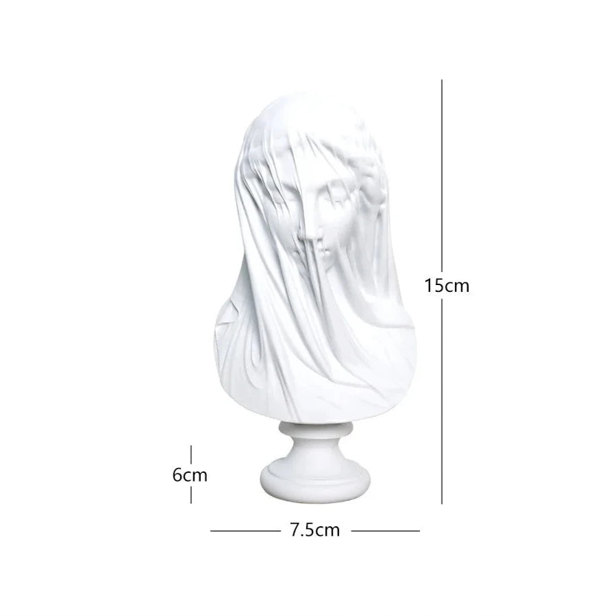 Mysterious Veiled Lady