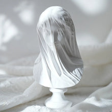 Load image into Gallery viewer, Mysterious Veiled Lady
