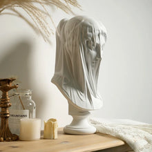 Load image into Gallery viewer, Mysterious Veiled Lady
