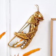 Load image into Gallery viewer, Mirror Menagerie™
