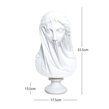 Load image into Gallery viewer, Mysterious Veiled Lady
