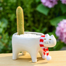 Load image into Gallery viewer, Ceramic Abstract Cat Planter
