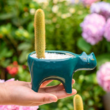 Load image into Gallery viewer, Ceramic Abstract Cat Planter

