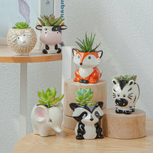 Load image into Gallery viewer, Cartoon Animal Planters

