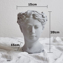 Load image into Gallery viewer, Greek Venus Vase

