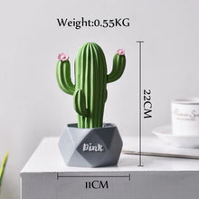 Load image into Gallery viewer, Colorful Cactus Miniatures
