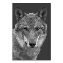 Load image into Gallery viewer, Black &amp; White Wildlife

